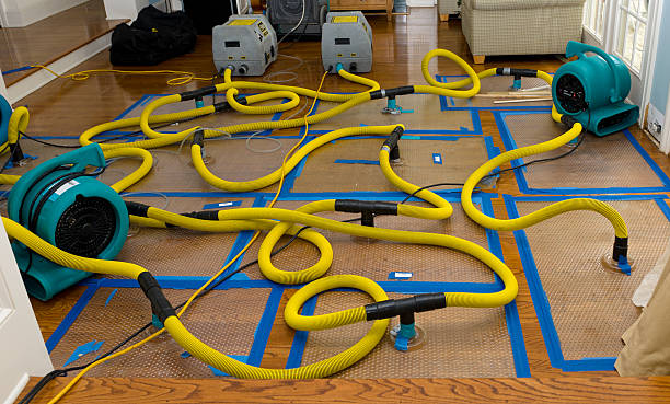 Professional Water Extraction technician working in Foley, MN
